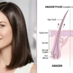 Why Your Hair Won't Grow Past Your Shoulders: The Hormonal Truth